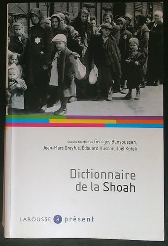 Dictionnaire shoah - dictionnaire,