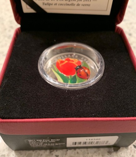 2011 tulip with murano - tulip,