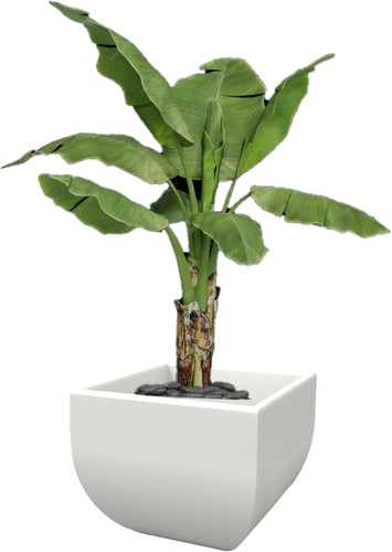 Vaso moderno quadrato - vaso,