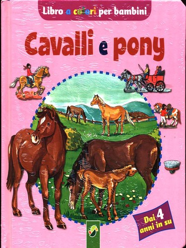 Cavalli pony ragazzi - e,
