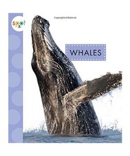 Whales, Mari C. Schuh