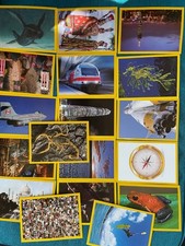 18 figurine National