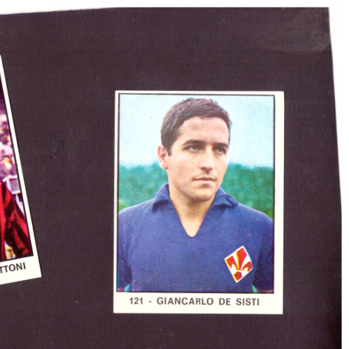 Panini campioni dello - campioni, sport