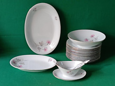 SERVIZIO PIATTI X 11  PORCELLANA SCHIRNDING BAVARIA VINTAGE.  CI36