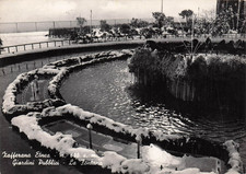06892) ZAFFERANA ETNEA GIARDINI PUBBLICI FONTANA INVERNO VIAGGIATA CATANIA