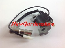 Bobina motore trattorino rasaerba tagliaerba GGP-CASTELGARDEN-ALPINA 118550416/0