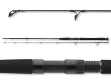 DAIWA Exceler Cf Spin 2,70m /