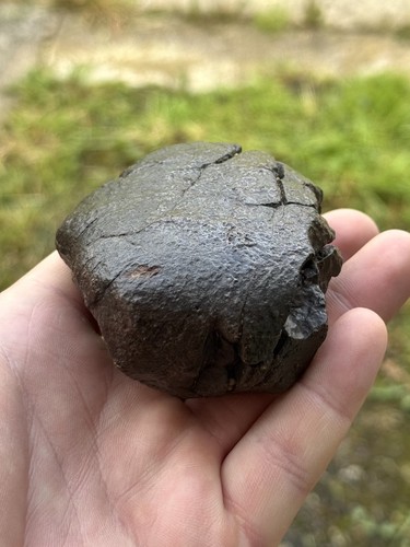 Meteorite fusion crust - fusion, 360g