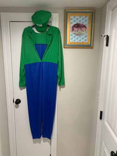 Costume mario bros luigi - costume,