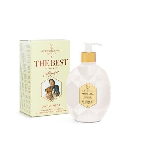 San bernard the best - san,