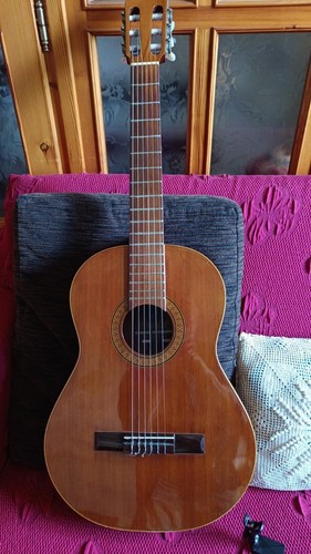 Chitarra concerto classica - chitarra,