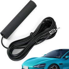 Antenna Autoradio Interna