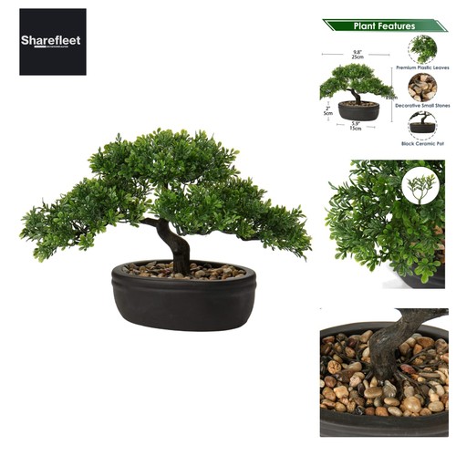 Bonsai artificiale pianta - bonsai,
