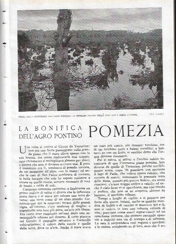 Mario puccini pomezia la - mario,