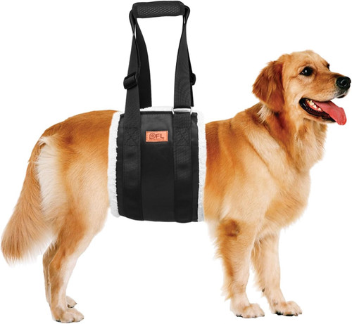 Imbracatura sollevamento cani - imbracatura,