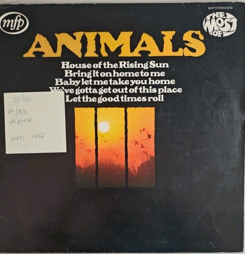 Animals the most - most, of