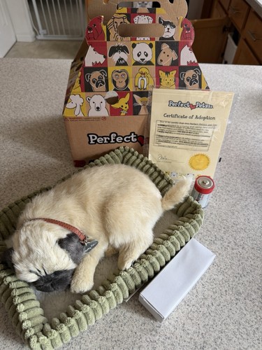 Set completo petzzz pug - completo,