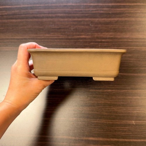 Vaso per bonsai giapponese