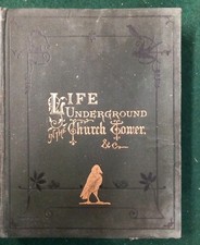 Life Underground In The Church