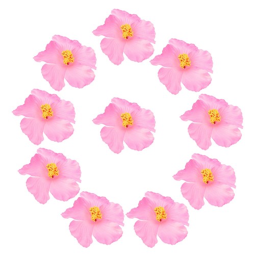 Pezzi bellissimi fiori - bellissimi, di