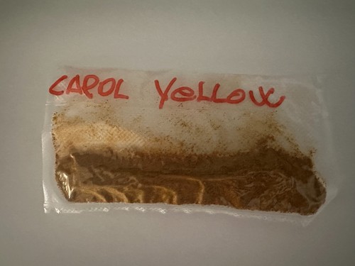 Peperoncino piccante carolina - peperoncino,