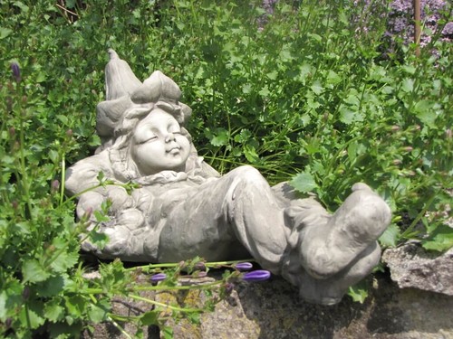 Blumenkind stechapfel liegend - blumenkind,