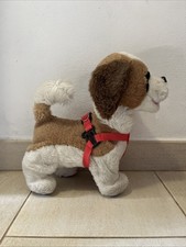 Samby - Il Cane San Bernardo
