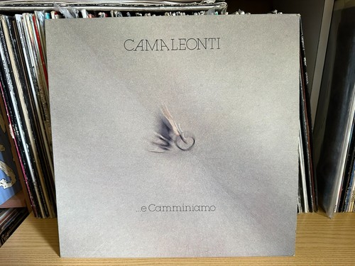 Camaleonti e - i, –