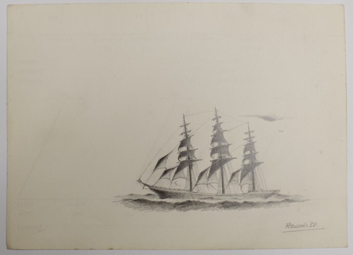 Drawing disegno bozzetto lapis - disegno,