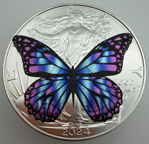 Bellissima farfalla rara - farfalla,