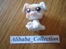 #84 Dog Cane Cucciolo Boxer