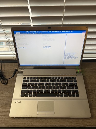 Sony vaio vgn fw290 - core, duo