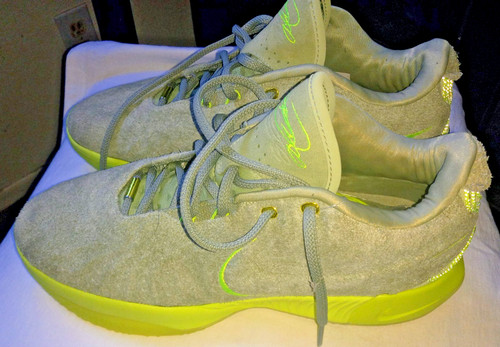 Nike lebron xxi algae - xxi, oil