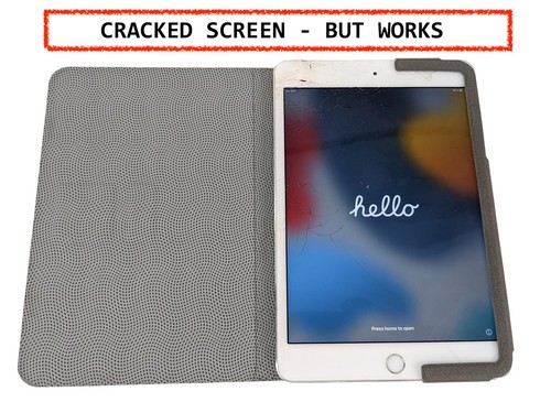 Apple ipad mini - apple,