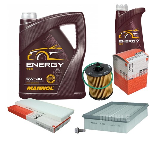 Mahle controllo set - controllo, 6l