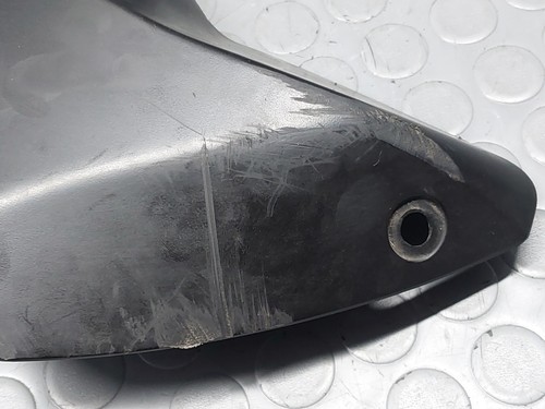 Aprilia tuono 1000 2006 - 2006, 2009