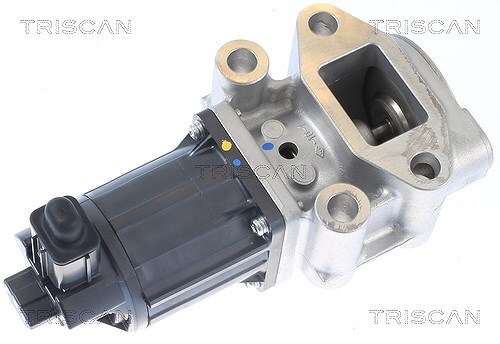 Valvola egr triscan - egr,
