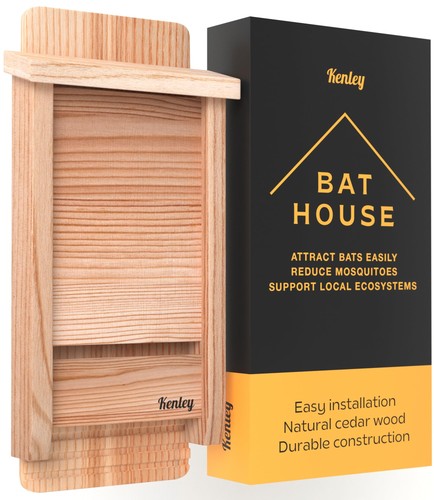 Bat house scatola - house, di