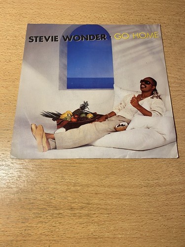 Stevie wonder go home - *,