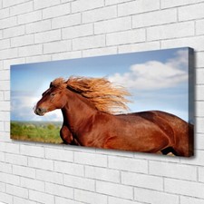 Moderni Astratti 125x50 Quadro