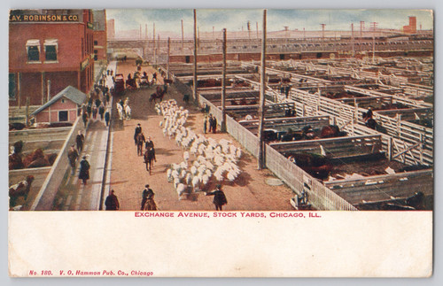 Cartolina exchange ave stock - cartolina,