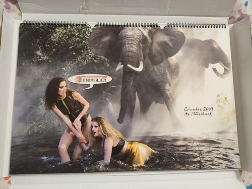 Calendario pirelli 2009 in - pirelli,