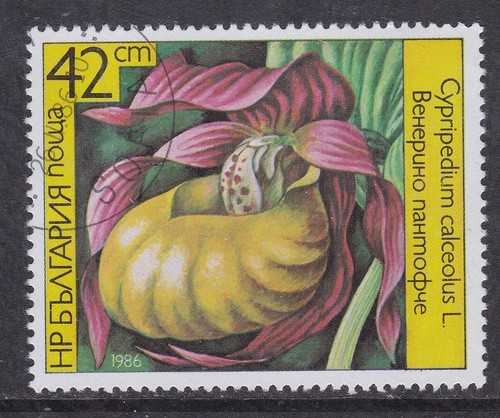 Bulgaria 1986 orchidea - bulgaria,