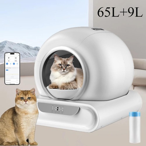 Toilette per gatti - toilette,