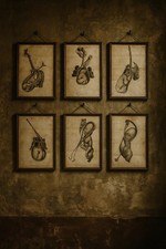 Set Antiche Stampe Ostetricia 6 Pz Settecentesche Feto Incisioni