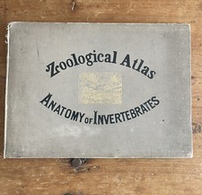 Zoological atlas anatomy - atlas,