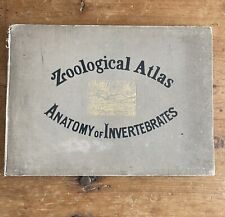 ZOOLOGICAL ATLAS ANATOMY OF