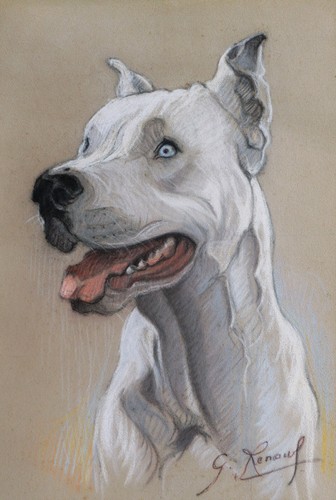 Disegno francese pastelli - disegno,