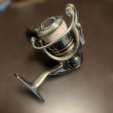 Mulinello da spinning DAIWA
