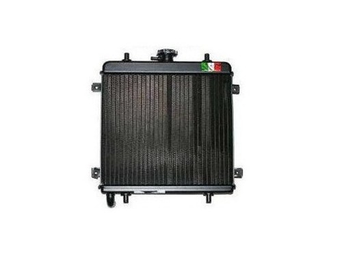 Radiatore motore completo - radiatore,